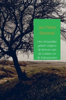 Afbeeldingen van Het christelijke geloof volgens de brieven aan de Galaten en de Kolossenzen