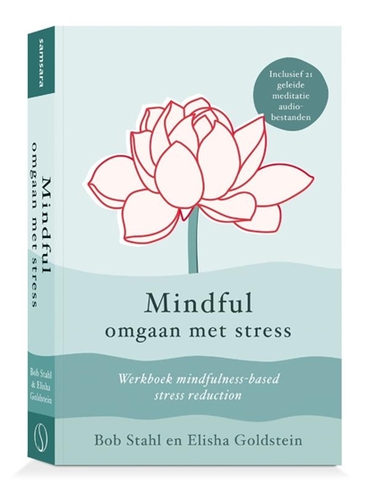 Afbeelding van Mindful omgaan met stress