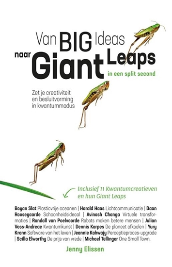 Afbeelding van Van Big Ideas naar Giant Leaps. In een split second.