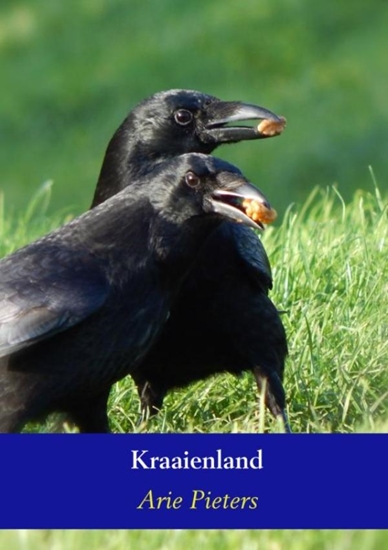 Afbeelding van Kraaienland