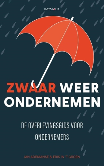 Afbeelding van Zwaar weer ondernemen