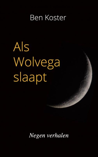 Afbeelding van Als Wolvega slaapt