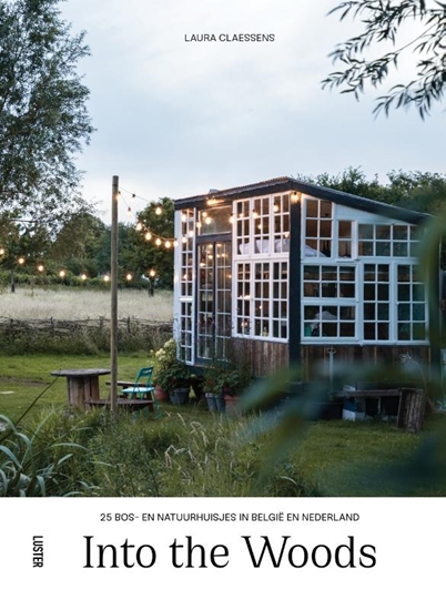 Afbeelding van Into the Woods