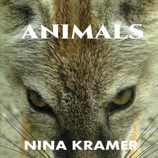 Afbeelding van Animals