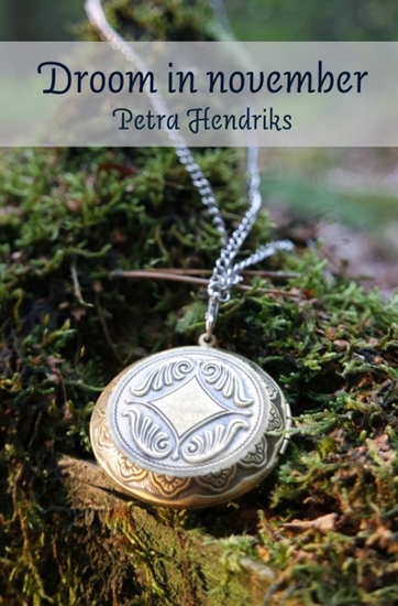 Afbeelding van Droom in november