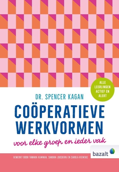 Afbeelding van Coöperatieve werkvormen
