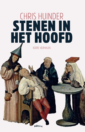 Afbeelding van Stenen in het hoofd