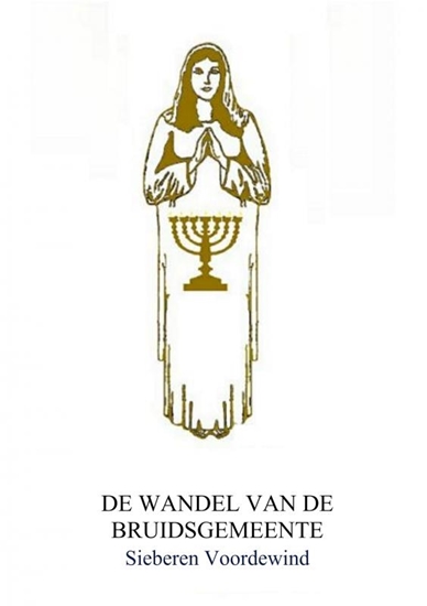 Afbeelding van DE WANDEL VAN DE BRUIDSGEMEENTE