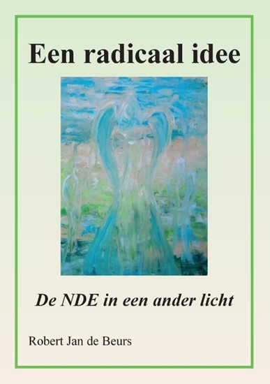 Afbeelding van Een radicaal idee