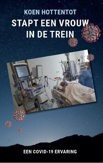 Afbeelding van Stapt een vrouw in de trein