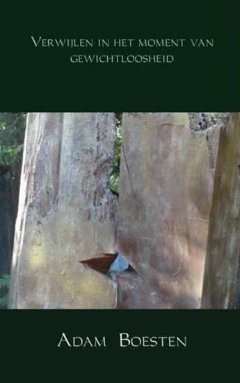 Afbeelding van Verwijlen in het moment van gewichtloosheid