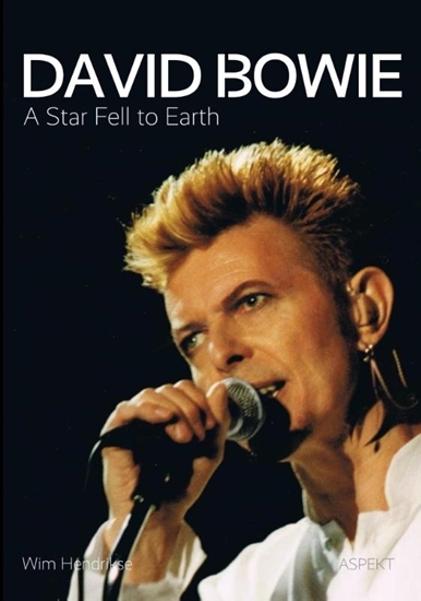 Afbeelding van David Bowie, a star fell to earth