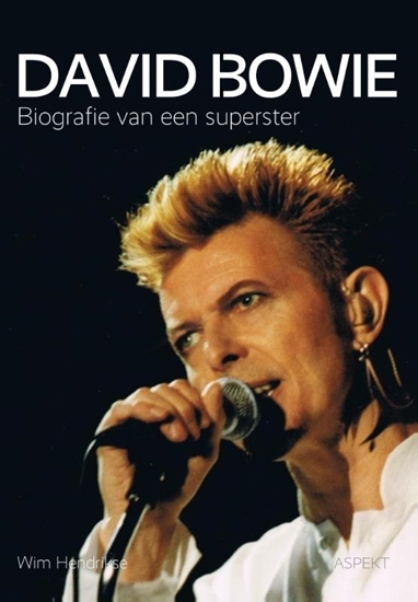 Afbeelding van David Bowie, biografie van een superster