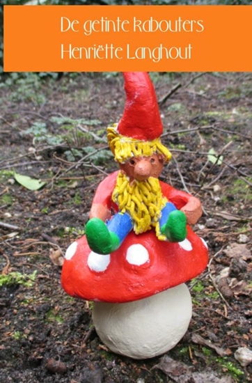 Afbeelding van De getinte kabouters