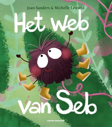 Afbeeldingen van Het web van Seb
