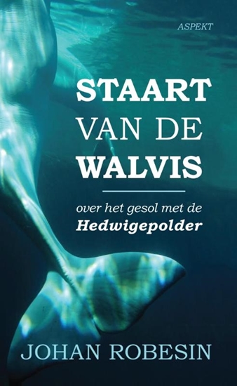 Afbeelding van Staart van de Walvis