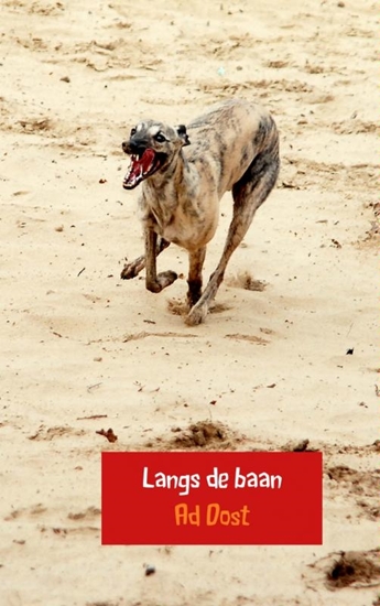 Afbeelding van Langs de baan