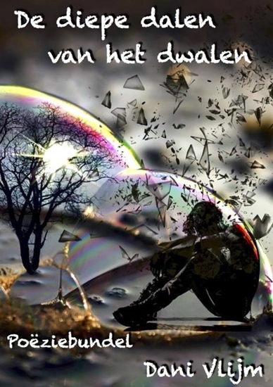 Afbeelding van De diepe dalen van het dwalen