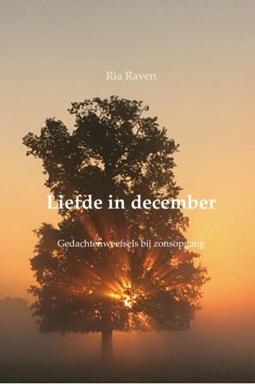 Afbeelding van Liefde in december