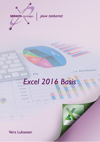 Afbeelding van Excel 2016 basis