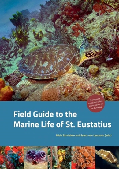Afbeelding van Field Guide to the Marine Life of St. Eustatius