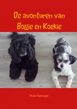 Afbeeldingen van De avonturen van Bollie en Koekie