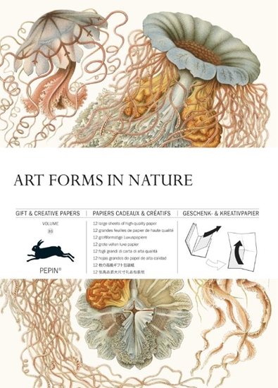 Afbeelding van Gift & creative papers Art Forms in Nature Volume 83