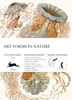 Afbeelding van Gift & creative papers Art Forms in Nature Volume 83