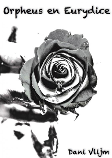 Afbeelding van Orpheus en Eurydice