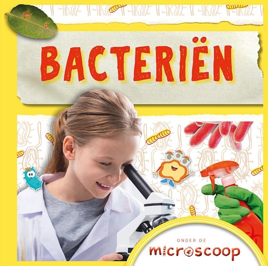 Afbeelding van Onder de microscoop Bacteriën