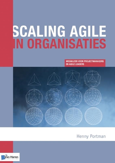 Afbeelding van Scaling agile in organisaties