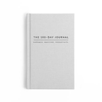 Afbeeldingen van The 100 day journal