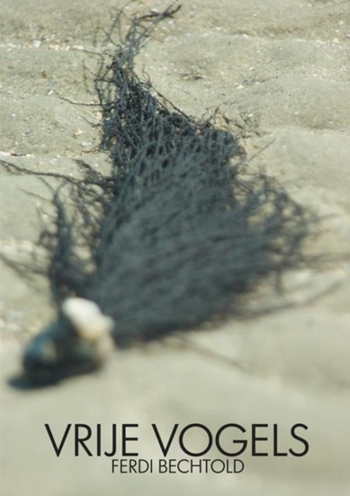 Afbeelding van Vrije vogels