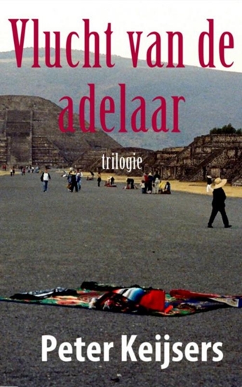 Afbeelding van Vlucht van de adelaar