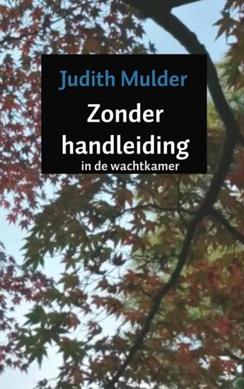 Afbeelding van Zonder handleiding