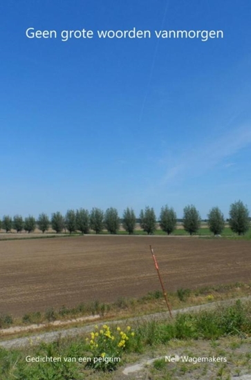 Afbeelding van Geen grote woorden vanmorgen
