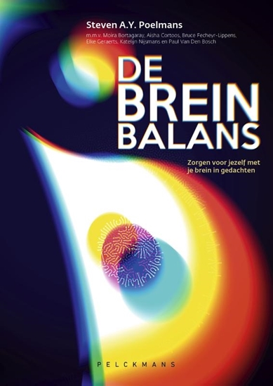 Afbeelding van De breinbalans