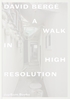 Afbeelding van David Bergé. A Walk in High Resolution
