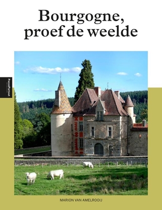 Afbeeldingen van Bourgogne