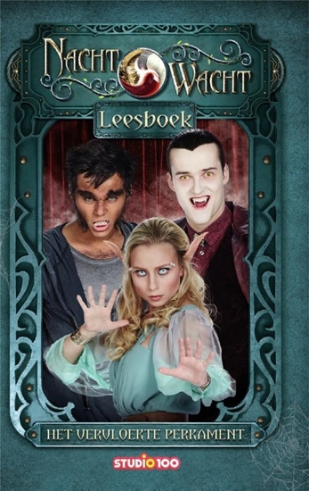 Afbeelding van Nachtwacht Het vervloekte perkament leesboek