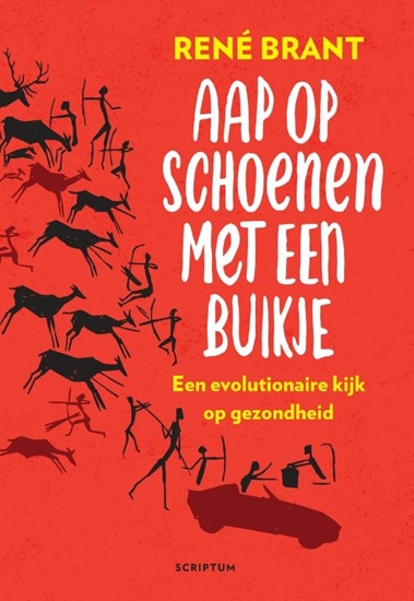Afbeelding van Aap op schoenen met een buikje