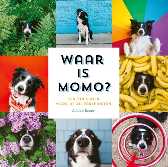 Afbeelding van Momo Waar is Momo?