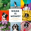 Afbeelding van Momo Waar is Momo?