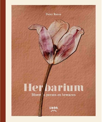 Afbeeldingen van Herbarium
