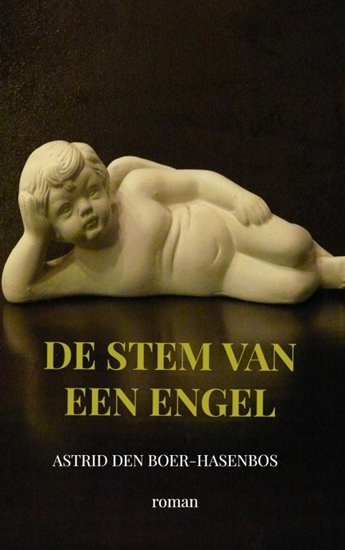 Afbeelding van De stem van een engel