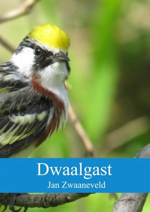 Afbeeldingen van Dwaalgast
