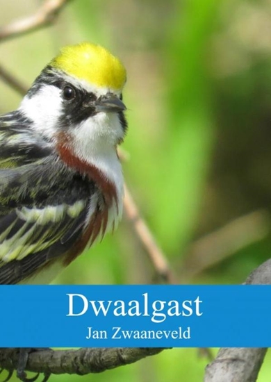 Afbeelding van Dwaalgast