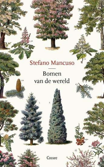 Afbeelding van Bomen van de wereld