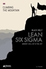 Afbeelding van Climbing the mountain Lean Six Sigma Black Belt