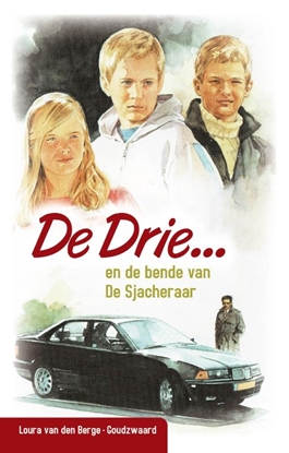 Afbeeldingen van De Drie De Drie en de bende van de Sjacheraar